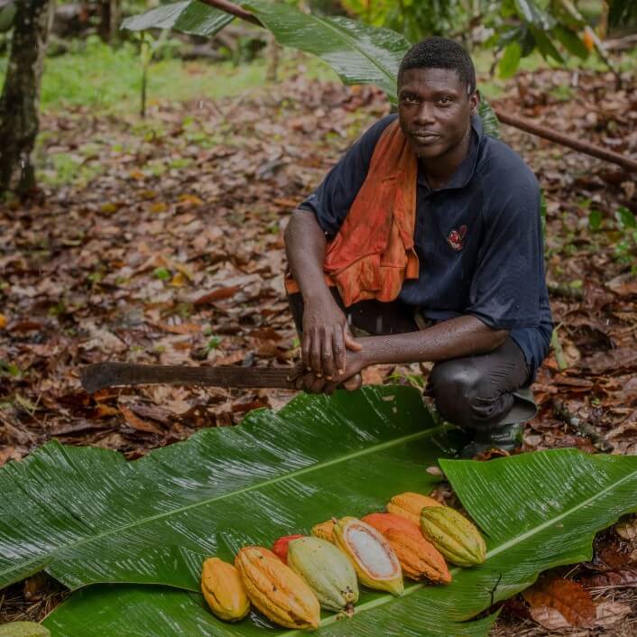 A Strategic Approach to Eradicating Child Labour in Cocoa Farming ...